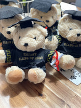 Load image into Gallery viewer, Graduation Teddy Bear